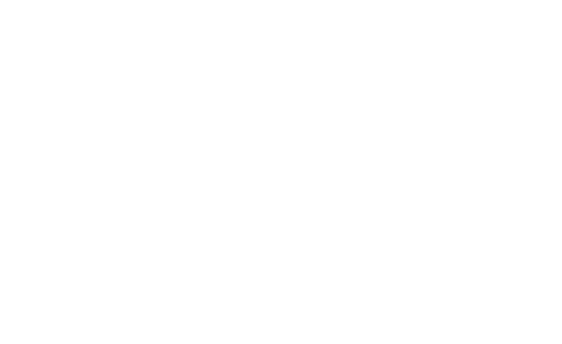 Navega con Pigaffeta